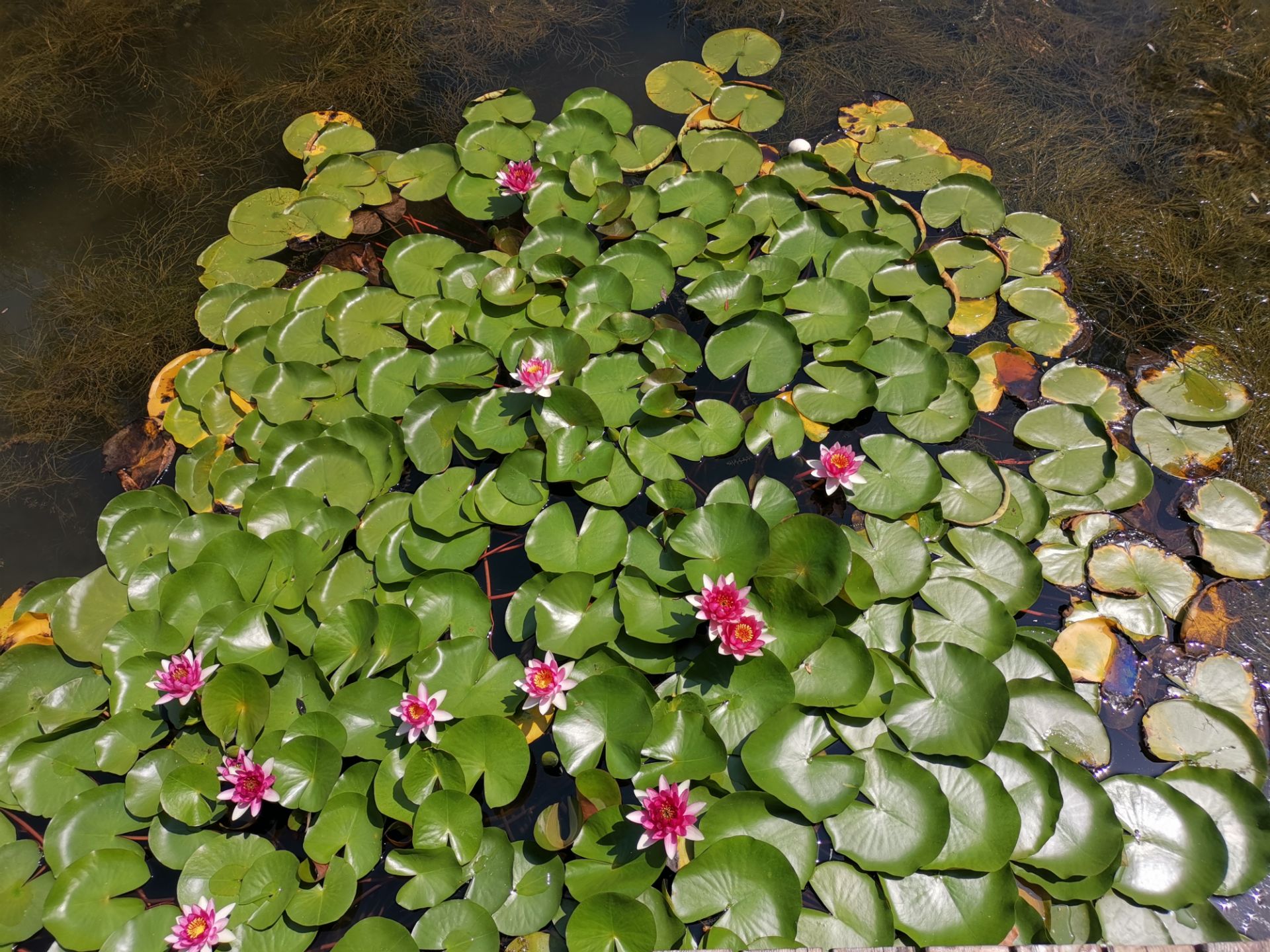 1566197936530409.jpg 45ADAD7EE76E439094509E7E4371E41C.jpg